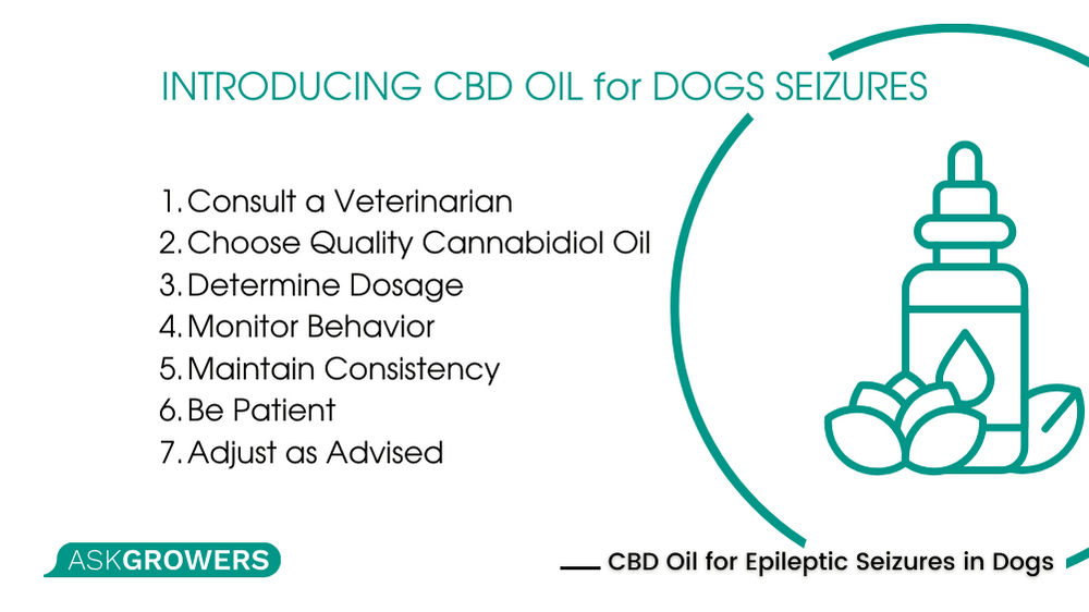 CBD oil for dogs epilepsy